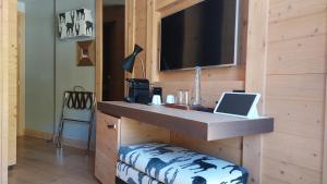 TV a/nebo společenská místnost v ubytování Chandolin Boutique Hotel