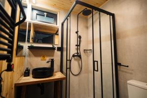 a bathroom with a shower and a sink in it at Szürke Szarvas in Szuha +37 photos
