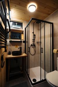 a bathroom with a shower with a sink and a toilet at Szürke Szarvas in Szuha