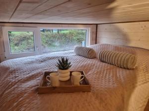 ein Bett mit zwei Kissen und ein Tablett mit einer Pflanze darauf in der Unterkunft Tiny housse serenity avec jacuzzi in Tinlot
