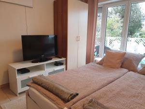 A television and/or entertainment centre at Simay Apartman
