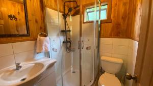 Un baño con ducha, inodoro y lavabo. en Cascadas del Llaima, en Refugio Llaima 22 fotos más