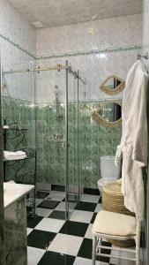 a bathroom with a shower and a toilet and a sink at Dar Yamna Maison d'Hôtes in El Gouassem
