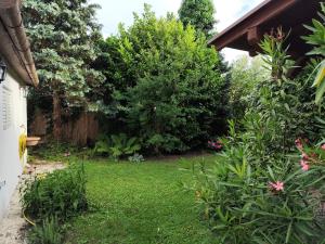 Aed väljaspool majutusasutust Sunshine Villa Fonyódliget