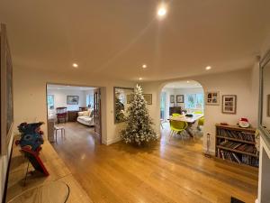 a living room with a christmas tree in the middle at Hollybank in Earnley