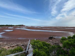 Galeriebild der Unterkunft Waterfront Cottage beach access in Stratford
