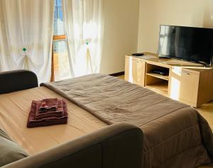 TV a/nebo společenská místnost v ubytování Casa Meja Apartment