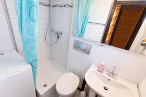 a bathroom with a sink and a toilet and a mirror at Bodensee Häusle in Immenstaad am Bodensee +12 photos