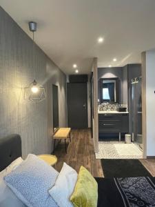 a living room with a bed and a bathroom at Les Cépages in Le Mesnil-sur-Oger