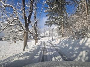 Panoramaplatzl v zimě