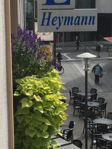 eine große grüne Pflanze vor einem Restaurant in der Unterkunft Hotel Heymann in Kaiserslautern