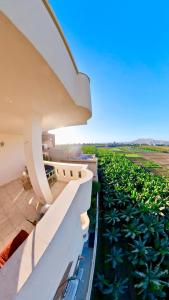 a view from the balcony of a building with a field of crops at Sunset Haven in Luxor