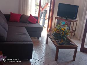 a living room with a couch and a table with a tv at Ioanna's traditional apartment in Elia Laconias