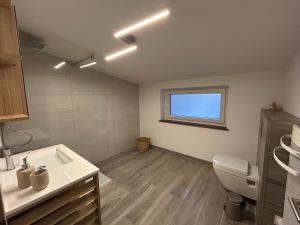 a bathroom with a sink and a toilet and a window at Appartement au Domaine du Cygne in Barst-Marienthal