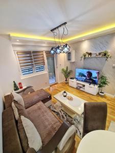 TV a/nebo společenská místnost v ubytování Apartman Damjan Sokobanja
