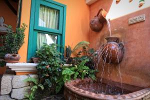 Сад в Hotel Plaza Yat Balam