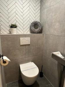 a bathroom with a toilet and a sink at Authentieke 4 persoons cottage vlakbij Valkenburg in Voerendaal +9 photos