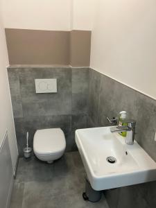 a bathroom with a white toilet and a sink at Zentrale Lage Netflix in Bruchsal
