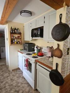 Φωτογραφία από το άλμπουμ του Perry Shore Road Cottage σε Perry