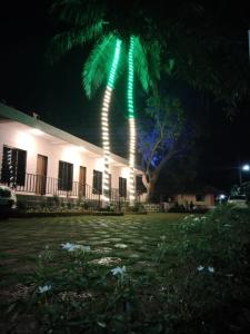 Κήπος έξω από το Anand Homestay +15 φωτογραφίες