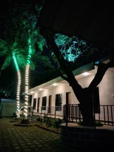 Κήπος έξω από το Anand Homestay