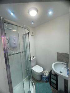 een badkamer met een douche, een toilet en een wastafel bij Cosy studio in Queensbury