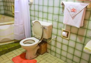 ein Badezimmer mit Toilette, Dusche und Waschbecken in der Unterkunft C & G house in Nairobi + 23 Fotos