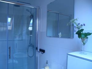 a bathroom with a shower with a glass door at Guesthouse Bor Plitvice Lakes in Plitvička Jezera