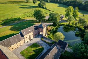 eine Luftaufnahme eines Hauses mit einem Teich in der Unterkunft Château de Berlieren in Plombières
