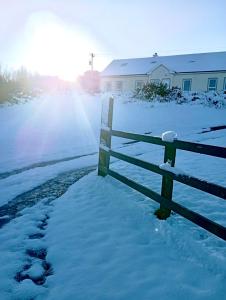 Hill View House talvel