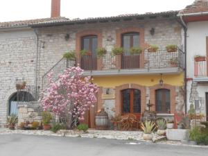 a house with a flowering tree in front of it at Masseria Rosella - Longhi in Pietrelcina