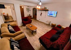 TV a/nebo společenská místnost v ubytování Poiana Sașilor - Valea Doftanei