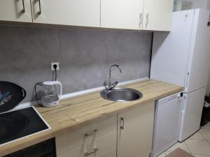 una cocina con fregadero y encimera en Apartment Stadion, en Tuzla