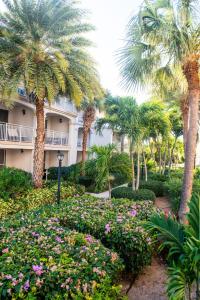Zahrada ubytování Private Poolside, Loft-Like Condo with Panoramic Grace Bay Views, Walk to Beach, Restaurants, & Turtle Cove Marina!