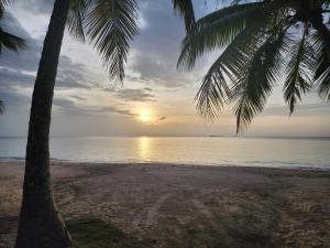 - un coucher de soleil sur une plage avec un palmier dans l'établissement Villas Montemar - Villa Sol, à Las Terrenas