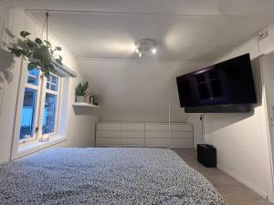 Μια τηλεόραση ή/και κέντρο ψυχαγωγίας στο Cozy apartment on the hill