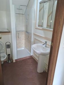a bathroom with a sink and a shower and a toilet at Appartement des écuries in Château-Chervix
