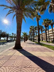 a sidewalk with a palm tree on a street at El Balcón de Moncofar, a 5 min andando de la playa, con Wifi, Smart Tive, Piscina y aparcamiento privado totalmente Gratuito in Moncófar