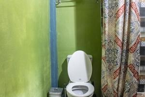 La TourneyLushes Lodge 1 with Lunch Included的浴室配有白色马桶和绿色墙壁