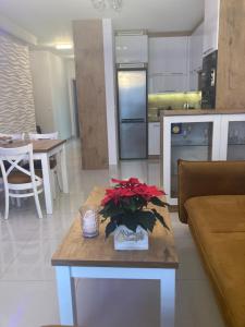 Kuchyňa alebo kuchynka v ubytovaní Apartament VIP