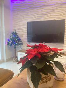 Televízia a/alebo spoločenská miestnosť v ubytovaní Apartament VIP