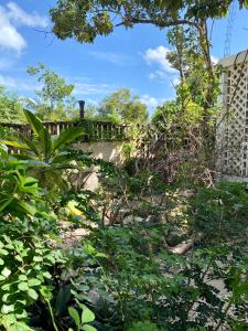 Zahrada ubytování Casa Kuma