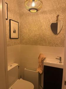 a bathroom with a toilet and a sink at Parkzicht Zwanenburg in Zwanenburg +36 photos