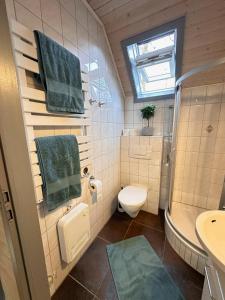 Vannituba majutusasutuses Natur pur mit Seeblick & Sauna - Ferienhaus Helly von Mein-Seepark