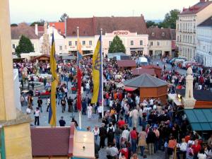 Hosté ubytování FERIENHAUS Weinviertel