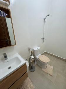 a bathroom with a sink and a toilet and a mirror at Motia's farm in Marrakesh +14 photos