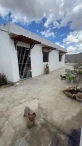 two dogs sitting in front of a building at Casa com 2 quartos no Alto do Moura in Caruaru