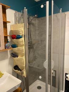 eine Dusche im Bad mit einer Duschkabine aus Glas in der Unterkunft Studio-Apartment Weimar in Weimar