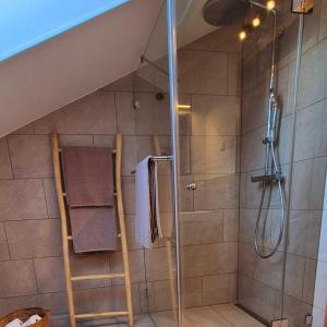 a bathroom with a shower with a ladder in it at Ferienwohnung SEElig in Fischbachau +15 photos