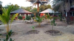 Κήπος έξω από το Campement les Antilles +24 φωτογραφίες